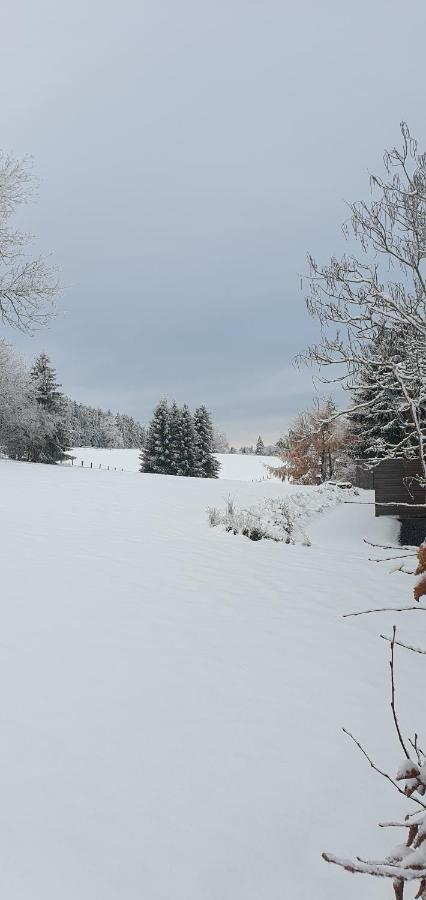 דירות הלנתאל Landhaus Schnorrenberg, Wellness & Nature מראה חיצוני תמונה