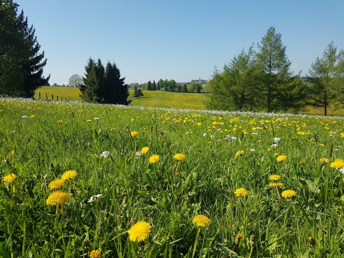 דירות הלנתאל Landhaus Schnorrenberg, Wellness & Nature מראה חיצוני תמונה