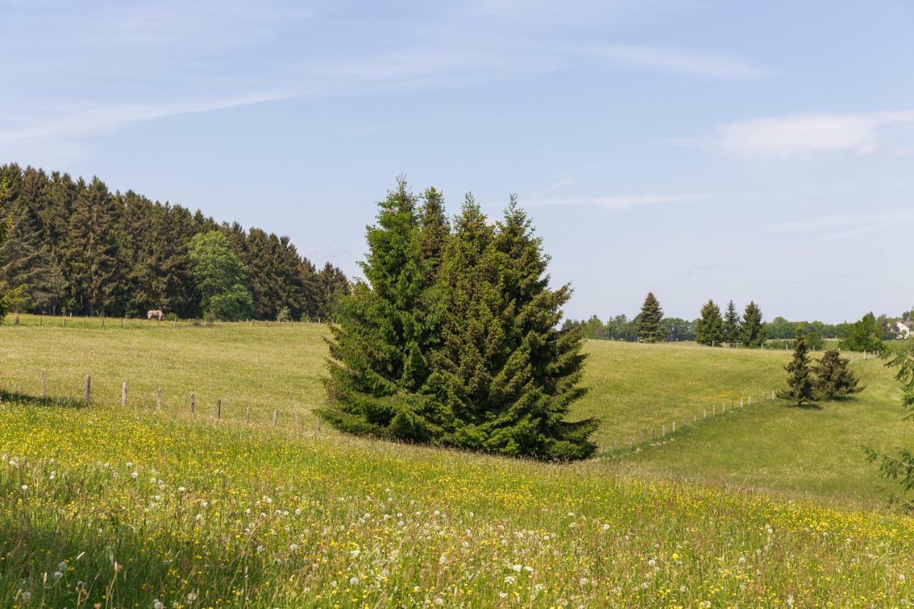 דירות הלנתאל Landhaus Schnorrenberg, Wellness & Nature מראה חיצוני תמונה